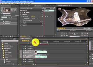 Динамические Эффекты и Работа с Ключевыми Кадрами в Adobe Premiere Pro