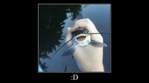 На каком фото вам стало комфортно ?