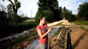 Что происходит в хозяйстве. Какое будет строение. Знакомство с диким котом.