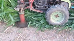 Мотоблок косит кукурузу 2ч. (захват 105 см)