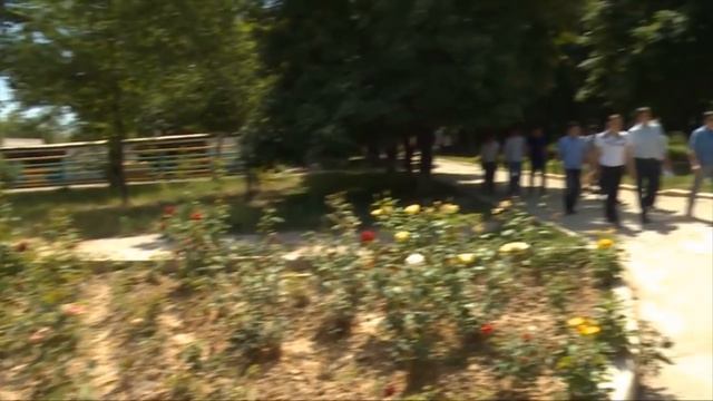 Большие пернатые, которые не умеют летать - страусы смотреть онлайн