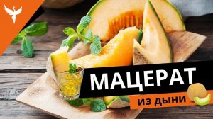 Мацерат из дыни - НЕ очень ароматная дынная водка
