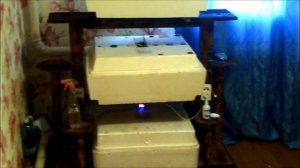 Удобно расположенные инкубаторы.mp4