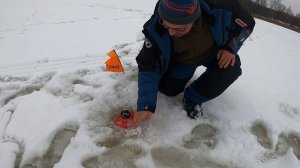 Крупные щуки по первому льду  на жерлицу.Ставим живца на флажки.Ловим щуку