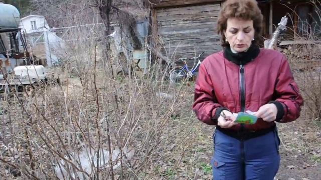 Борьба с почковым клещем. Сайт sadovymir.ru смотреть онлайн