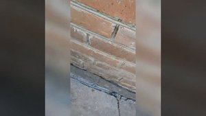 Как быстро и с подручных средств сделать заземление в частном доме