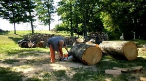 STIHL MS 462