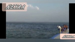 Кем были ЖЕРТВЫ акулы недалеко от Хургады. Статистика нападений акул в Египте.