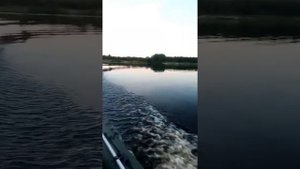 Вологодская область/Череповецкий район/д. Климовское/р. Конома/покатушки на моторе "ветерок 8м"