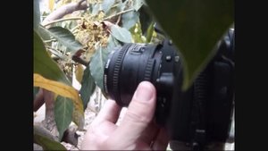 Nikon D90 movie tutorial