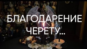 БЛАГОДАРЕНИЕ ЧЕРЕТУ…ДЛЯ ВСЕХ..