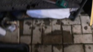 Удобрение pekacid для рододендрона, вереска, голубики. Мульчирование