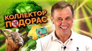 ЗАСТАВИЛ КОЛЛЕКТОРА УВОЛИТЬСЯ!| БАНКРОТСТВО | Кузнецов | Аллиам