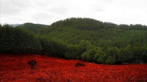 Българска народна музика