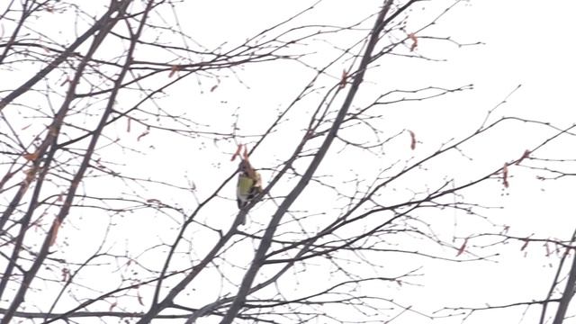 Паркур Стиль жизни дети март 2019 смотреть онлайн