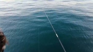 Морская рыбалка в Сочи