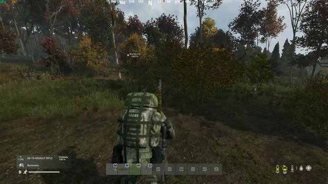 DayZ )