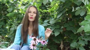 Правила провоза багажа и ручной клади в самолете + vlog