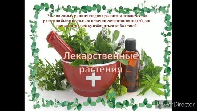 В путь - дорогу собирайся – за здоровьем отправляйся смотреть онлайн