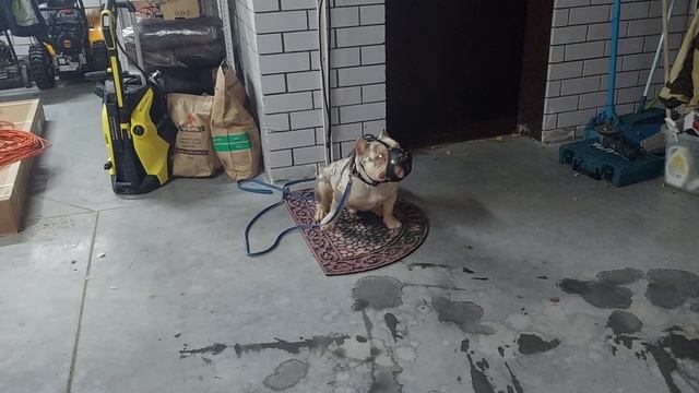 Потап. Пройден второй уровень команды сидеть-5 минут (выдержка). смотреть онлайн