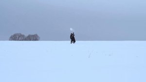Что? Где? Когда? Анонс 28.03
