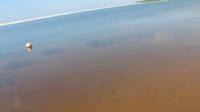 Янтарный Закрытая лагуна и коммерческие пляжи