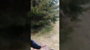 самодельный квадроцикл с двигателем от мотоблока