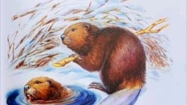 Н.И.Сладков сказка "Бюро лесных услуг" смотреть онлайн