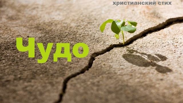 Детский христианский стих "Чудо" смотреть онлайн