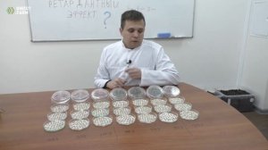 Подсчёт энергии прорастания. Лабораторный эксперимент Директ Фарм