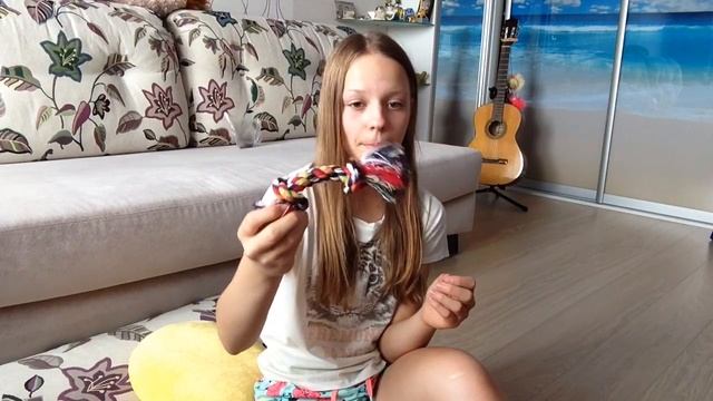 Какие игрушки купить йорширскому терьеру смотреть онлайн