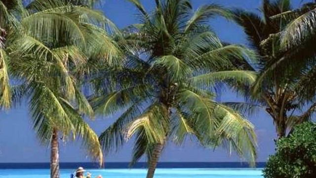 АЛЛА ИОШПЕ И СТАХАН РАХИМОВ - ТУМБОЧКА смотреть онлайн