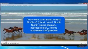 Как повернуть, перевернуть видео в Media Player Classic