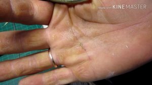 21.ПАЙКА РЫМОВ,КОЛЕЦ... КОУШИ.Часть 1-я