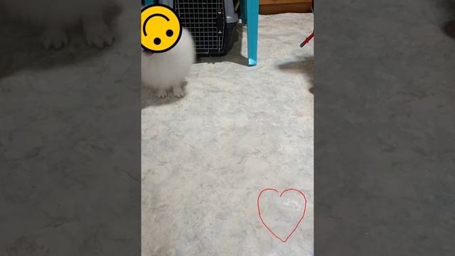 YouCut_20240509_125121147.mp4 смотреть онлайн