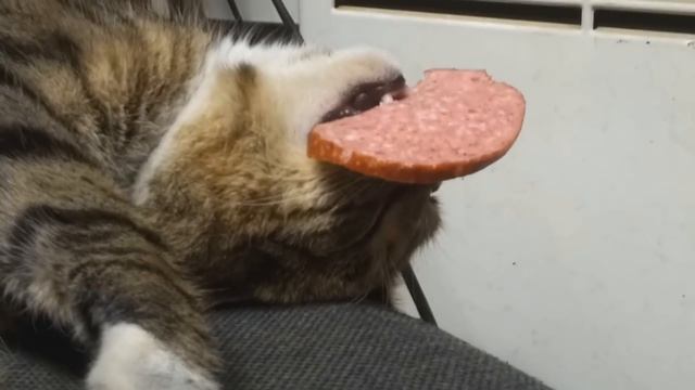 Что на дне? смотреть онлайн