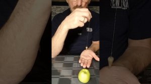 Как определять недоброкачественные продукты с помощью маятника