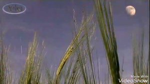 Притча,,,(((((...День рождения...)))))