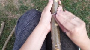 КАК МЫ ДЕЛАЕМ ЖЕРДОЧКИ ДЛЯ ПОПУГАЯ НА ЗАКАЗ ?