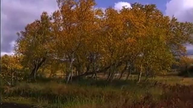 САМЫЕ СТРАШНЫЕ МЕСТА l ДОЛИНА СМЕРТИ l Аномалия l Камчатка смотреть онлайн