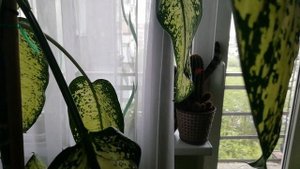 Охота в зоне релакса