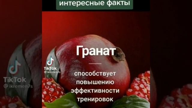 Интересные факты