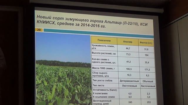 Технология возделывания гороха, люцерны и эспарцета