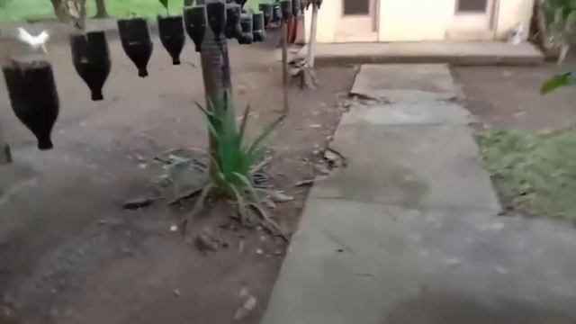 day 2 update sa green house at sa eba pang halaman смотреть онлайн