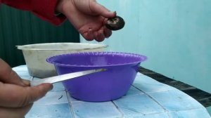 КАК ЗАГОТОВИТЬ ГРИБЫ ГРУЗДИ И  ВОЛНУШКИ НА ЗИМУ?