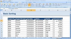 How to Sort multiple columns in Excel 2007 using the Sort button (Excel 07-013)