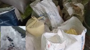 обзор свиней, кормов разговор о ценах на продукцию