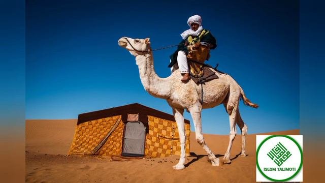 САХОБАЛАР ТАРИХИ  ЗАФАР ИБН АБУТОЛИБ АБДУЛЛОХ ДОМЛА