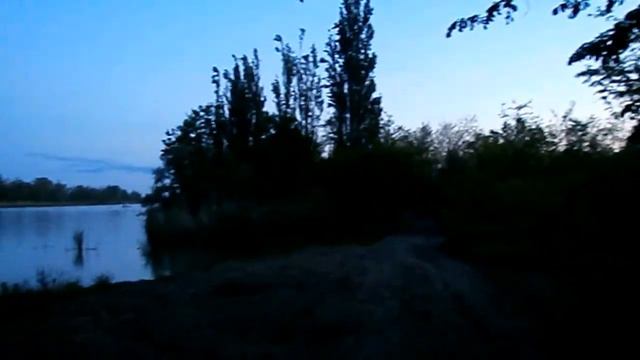 Дуб "ТИТАН" в парке Краснодара вечером и днем
