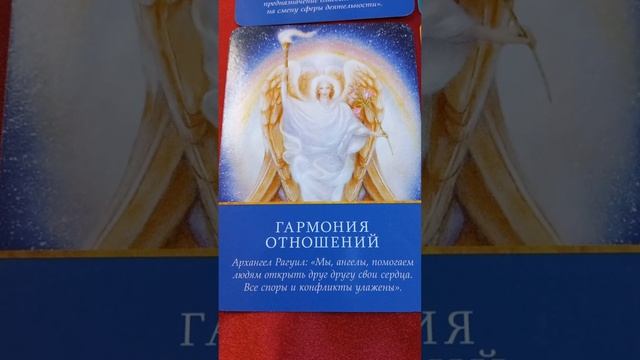 15 ноября 2022 г.